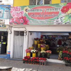 Floreria Y Peluches Ave Del Paraiso