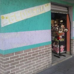 Florería Y Peluches Gdl