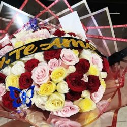 Florería Y Plantas El Paraiso