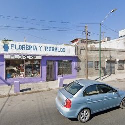 Floreria Y Regalos