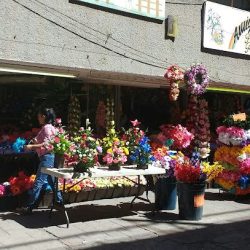 Florería Y Regalos Amigo's Plaza