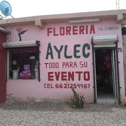 Florería Y Regalos Aylec