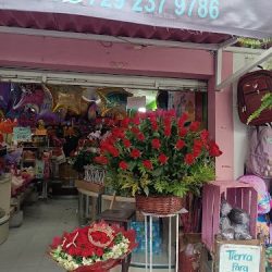 Floreria Y Regalos Colibri