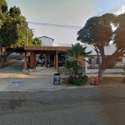 Florería Y Regalos De Arte