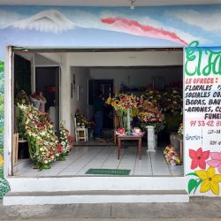 Floreria Y Regalos El Jardin