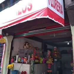 Floreria Y Regalos Estebam