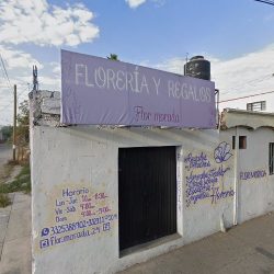 Floreria Y Regalos Flor Morada