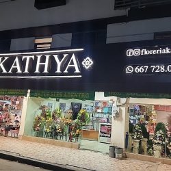 Floreria Y Regalos Kathya