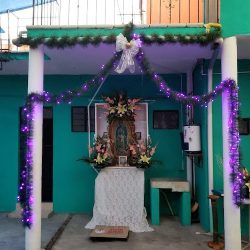Floreria Y Regalos Lalito