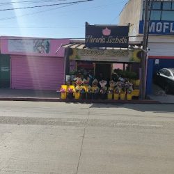 Floreria Y Regalos Lizbeth