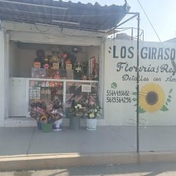 Floreria Y Regalos Los Girasoles