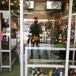 Florería Y Regalos Morusa