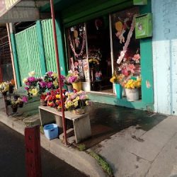 Floreria Y Regalos Olvera