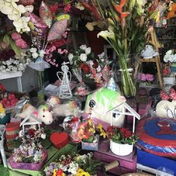 Floreria Y Regalos Olvera
