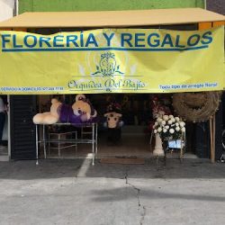 Floreria Y Regalos Orquídea Del Bajío