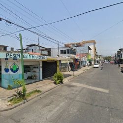 Floreria Y Regalos Paty