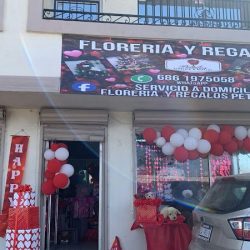 Floreria Y Regalos Petalos