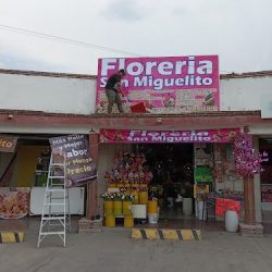 Floreria Y Regalos San Miguelito