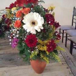Florería Y Regalos Silvita