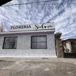 Floreria Y Regalos Sulma