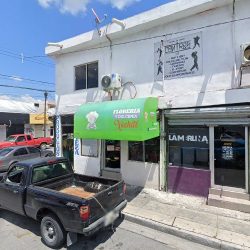 Floreria Y Regalos Xochitl