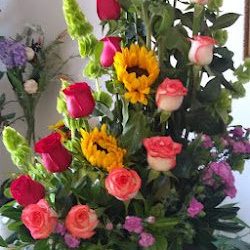 Florería Y Regalos Yesenia
