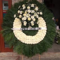 Florería Y Regalos Yica