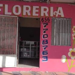 Florería Ydaly's