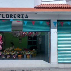 Floreria Yeni