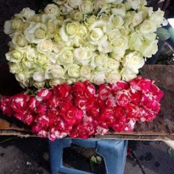 Floreria Yola Y Julio