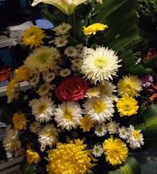 Floreria Yoliz