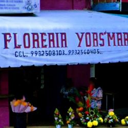 Floreria Yorsmar