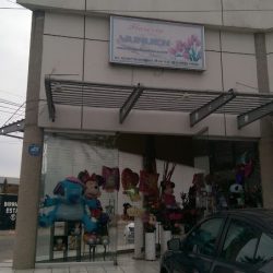 Floreria Yunuen
