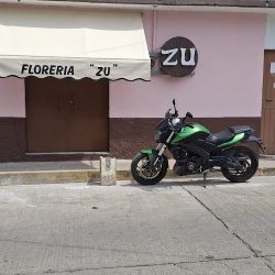 Floreria "zu" Oaxaca