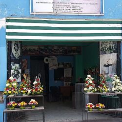 Floreriachelina Premium