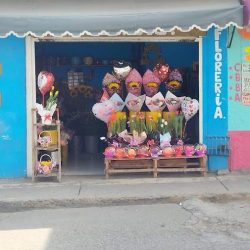 Floreriamijuandis