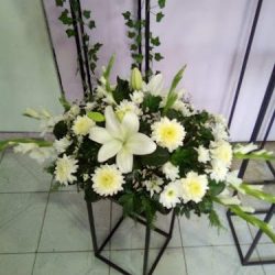 Florerias Del Sur