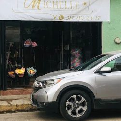 Florerias En Autlan Flower Michelle