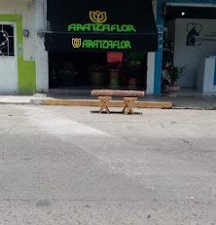 Florerias En Ciudad Hidalgo Michoacan, Aranzaflor