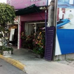 Florerias En Cuernavaca - Floreria De Liz