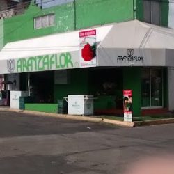 Florerias En Morelia, Aranzaflor Santiaguito