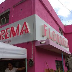 Florerías En Morelia Florema