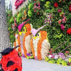 Florerías Fiorence Interlomas
