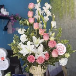 Florerias Joshlem V