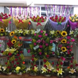 Florerias Kabah