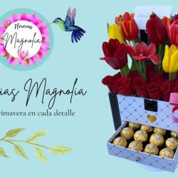 Florerias Magnolia