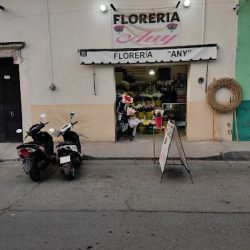 Floreryan Anny.