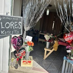 Flores A Karlita