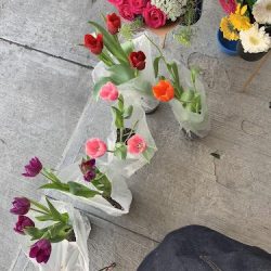 Flores’alo