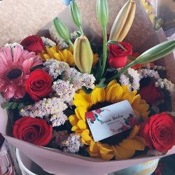 Flores Alondra ,san Gaspar